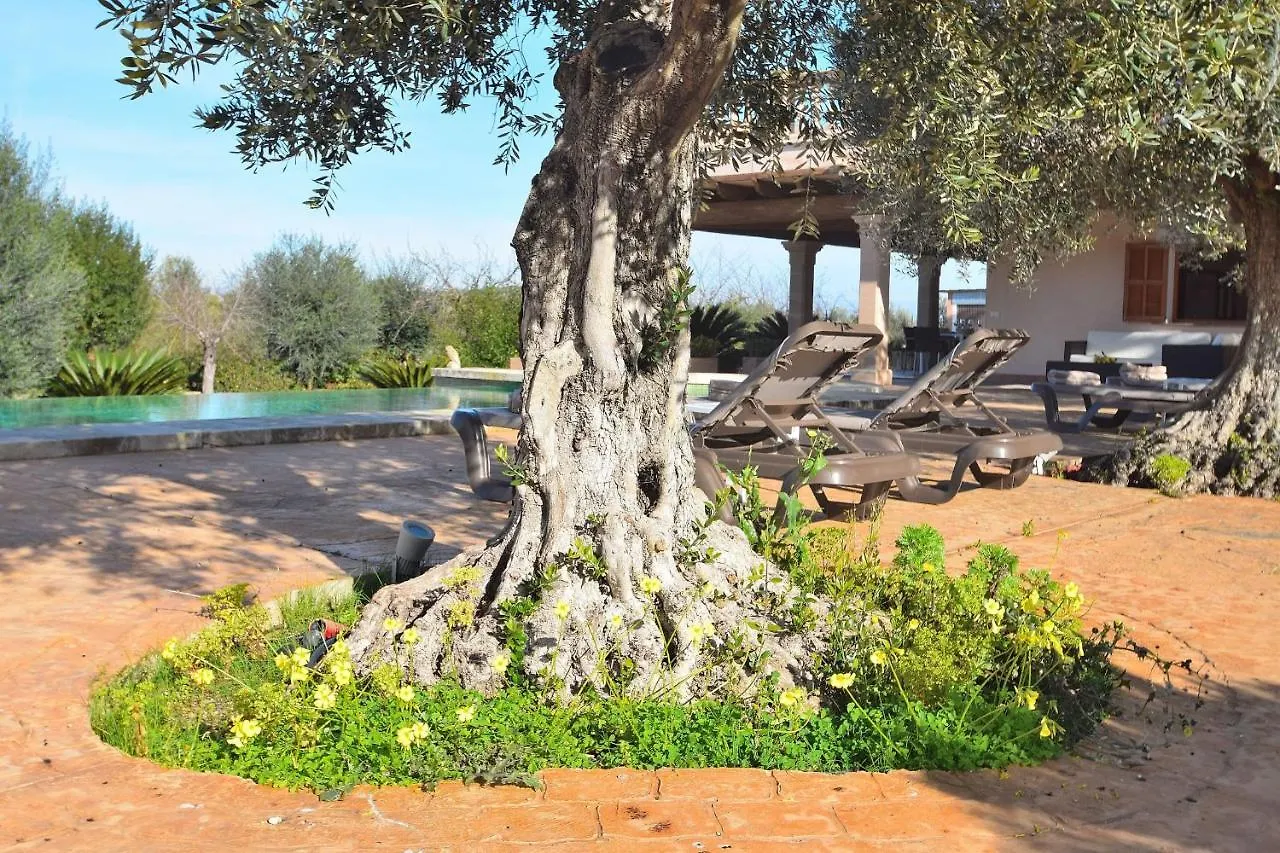 070 Finca Son Arcaines De Can Simo Etv4134 By Mallorca Charme Sineu