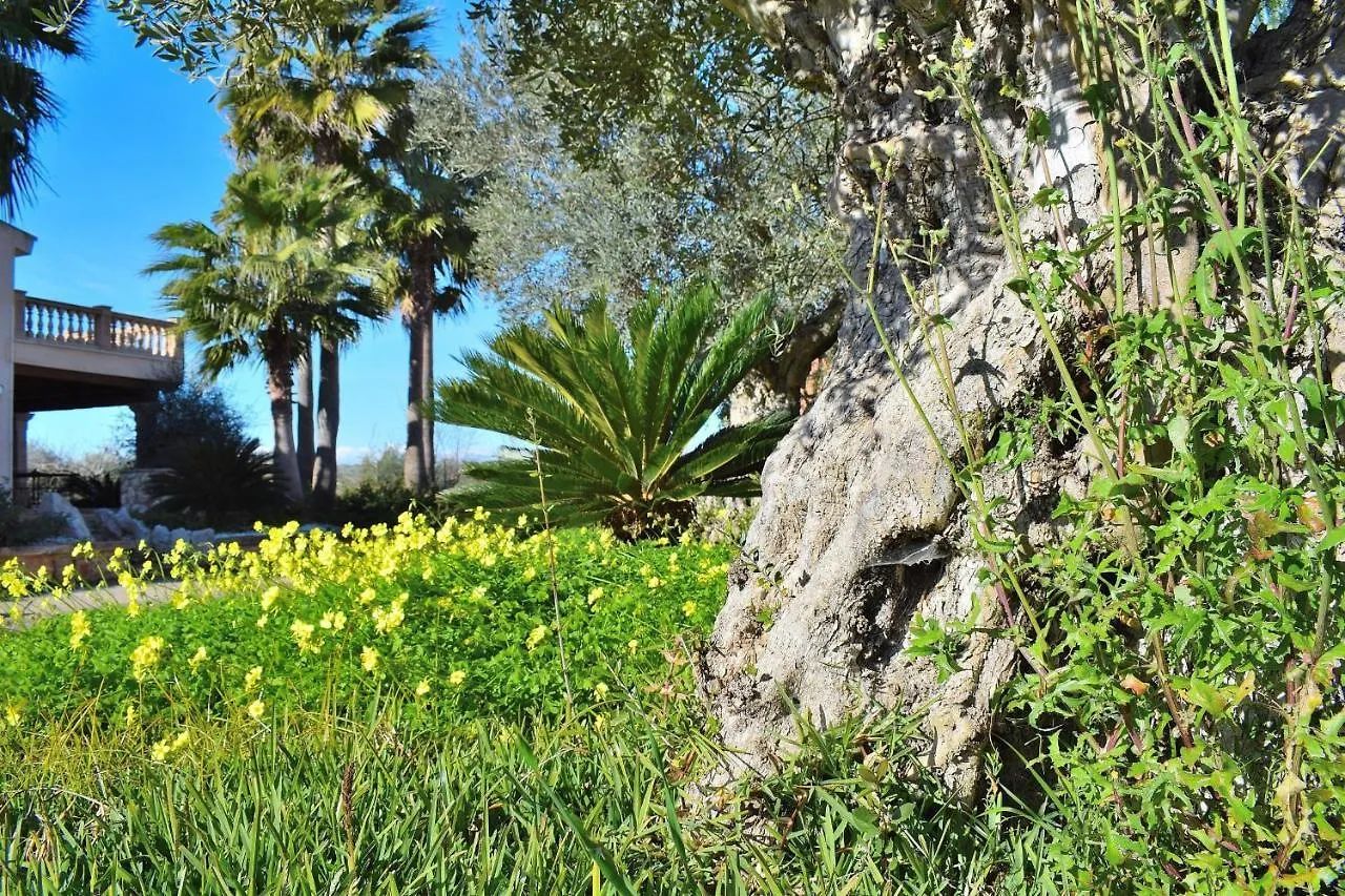 070 Finca Son Arcaines De Can Simo Etv4134 By Mallorca Charme Sineu  Spain